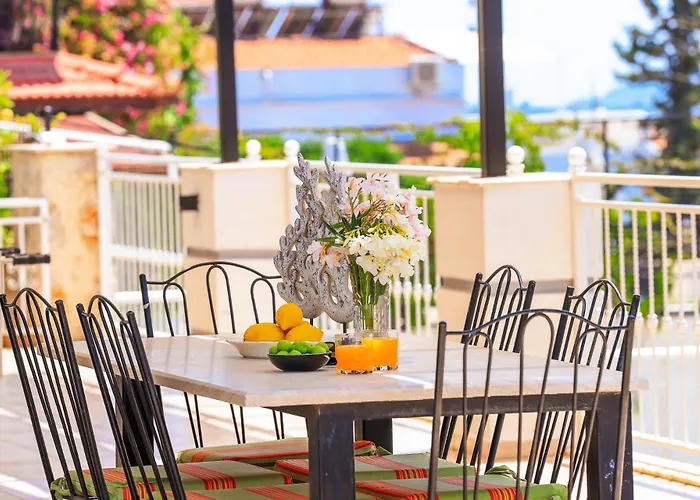 فيلة Buse Kalkan كاس